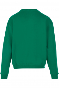 Ralph Lauren PRL CN PO long sleeve sweat